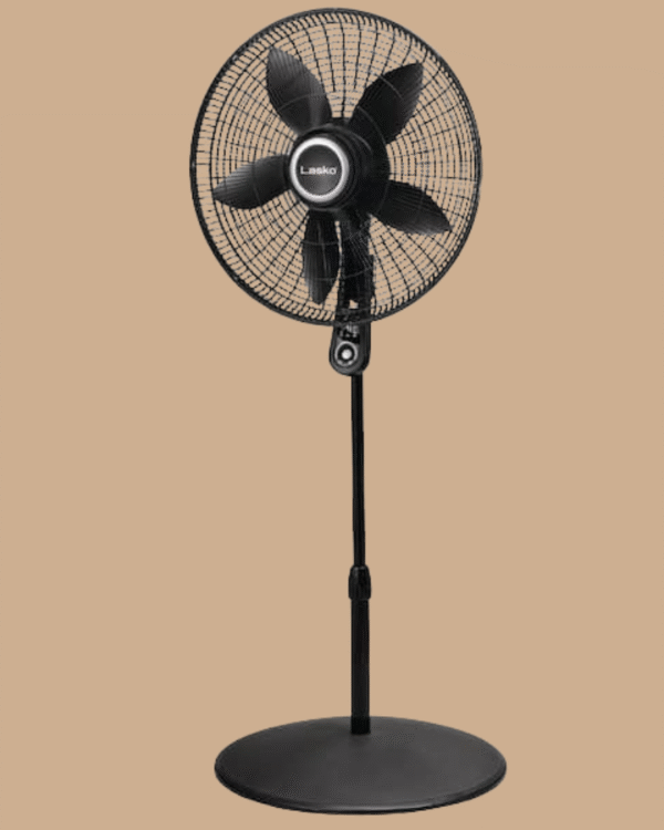 20 in. 4 Speeds Pedestal Fan in Black with 90 Degrees Tilt Adjustment, Adjustable Height, Oscillating, Remote,Timer